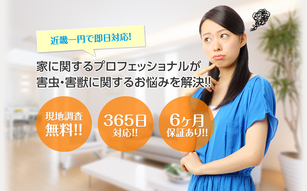 近畿一円で即日対応 家に関するプロフェッショナルが害虫・害獣に関するお悩みを解決