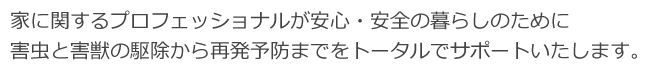 京都の害虫・害虫駆除会社ライフディフェンス