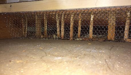 ネズミ駆除用閉鎖後（天井裏）