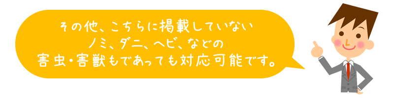 その他、こちらに掲載していないノミ・ダニ・ヘビなどの害虫・害獣であっても対応可能です。