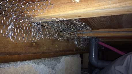 ネズミ駆除用閉鎖後（床下）