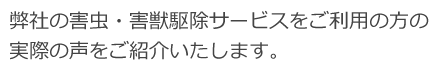 弊社の害虫・害獣駆除サービスをご利用の方の実際の声をご紹介いたします。