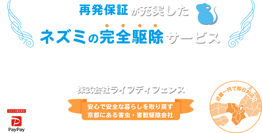 ネズミの完全駆除サービス