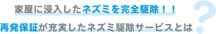 再発保証が充実したネズミ駆除サービスとは