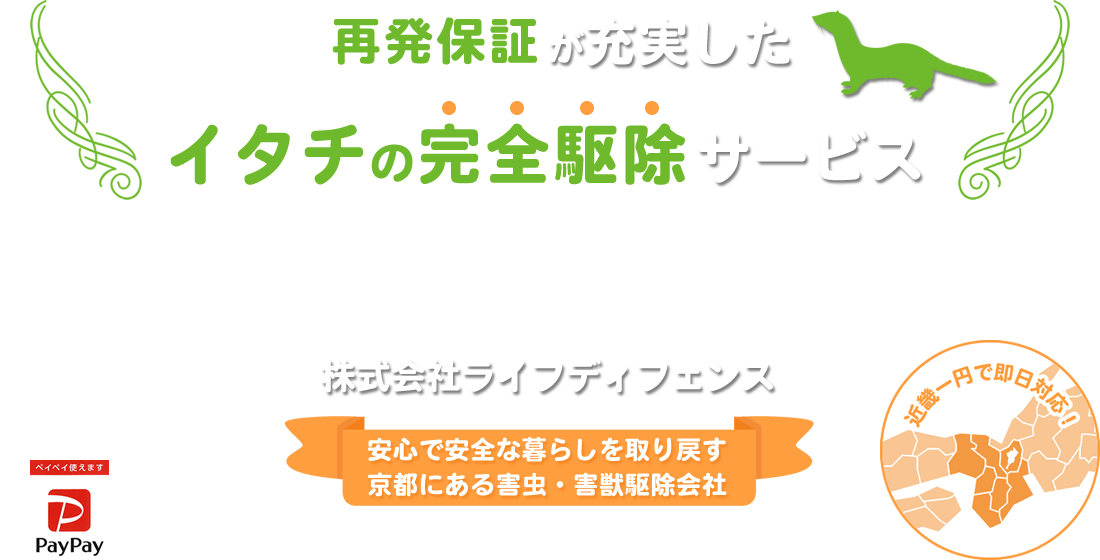 イタチの完全駆除サービス