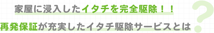 再発保証が充実したイタチ駆除サービスとは